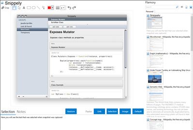 Snippely - Flamory bookmarks and screenshots