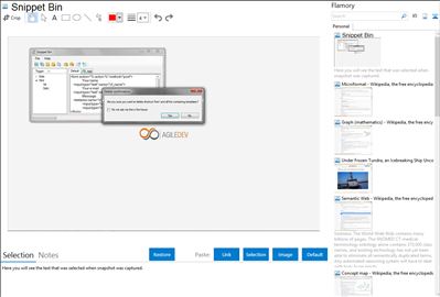 Snippet Bin - Flamory bookmarks and screenshots