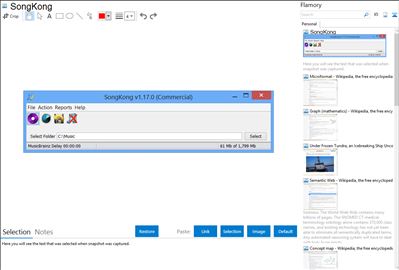 SongKong - Flamory bookmarks and screenshots