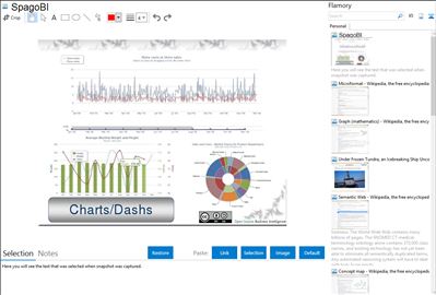 SpagoBI - Flamory bookmarks and screenshots