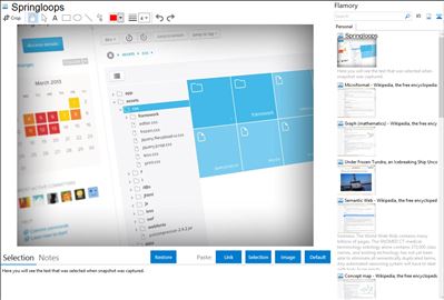 Springloops - Flamory bookmarks and screenshots