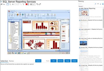 SQL Server Reporting Services - Flamory bookmarks and screenshots