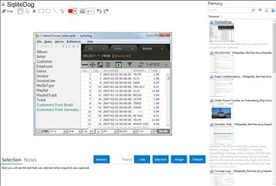 SqliteDog - Flamory bookmarks and screenshots