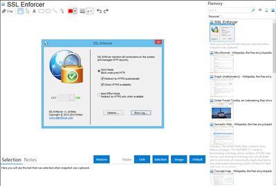 SSL Enforcer - Flamory bookmarks and screenshots