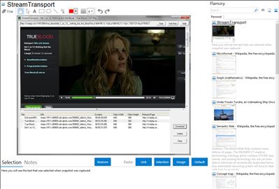 StreamTransport - Flamory bookmarks and screenshots