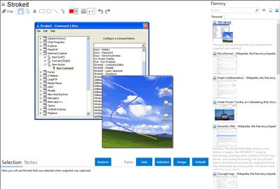 Strokeit - Flamory bookmarks and screenshots