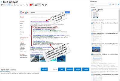 Surf Canyon - Flamory bookmarks and screenshots