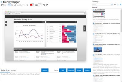 Surveytagger - Flamory bookmarks and screenshots
