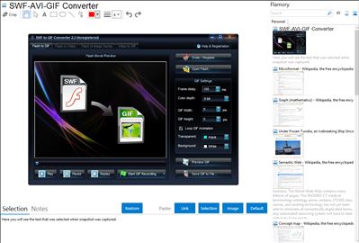 SWF-AVI-GIF Converter - Flamory bookmarks and screenshots