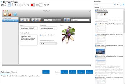 Symphytum - Flamory bookmarks and screenshots