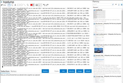 tcpdump - Flamory bookmarks and screenshots