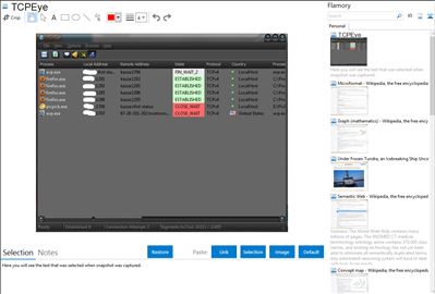 TCPEye - Flamory bookmarks and screenshots