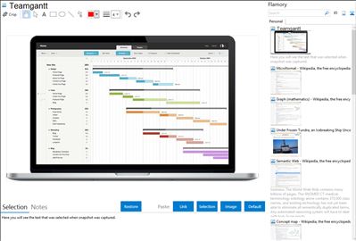 Teamgantt - Flamory bookmarks and screenshots