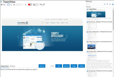 TeamWise - Flamory bookmarks and screenshots