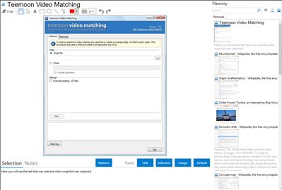 Teemoon Video Matching - Flamory bookmarks and screenshots