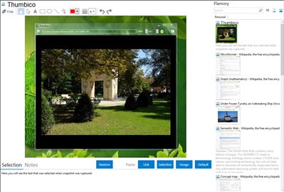 Thumbico - Flamory bookmarks and screenshots