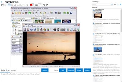 ThumbsPlus - Flamory bookmarks and screenshots
