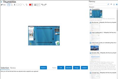 ThumbWin - Flamory bookmarks and screenshots