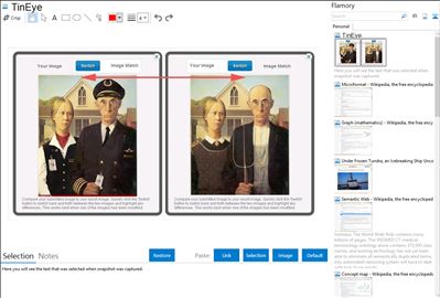 TinEye - Flamory bookmarks and screenshots