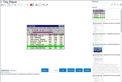 Tiny Player - Flamory bookmarks and screenshots