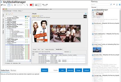 tinyMediaManager - Flamory bookmarks and screenshots