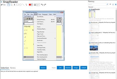 SnapReader - Flamory bookmarks and screenshots