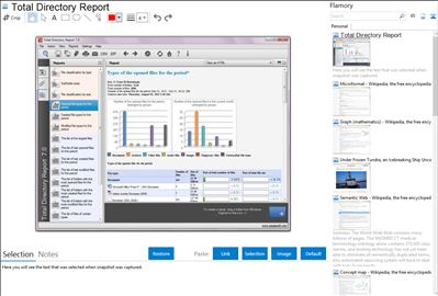 Total Directory Report - Flamory bookmarks and screenshots