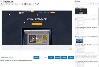 TrackDuck - Flamory bookmarks and screenshots