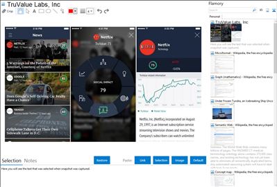 TruValue Labs, Inc - Flamory bookmarks and screenshots