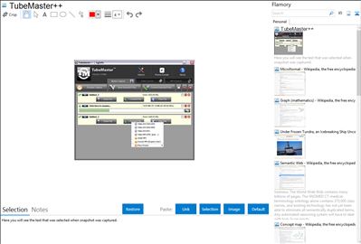 TubeMaster++ - Flamory bookmarks and screenshots