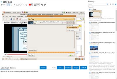 UnPlug - Flamory bookmarks and screenshots