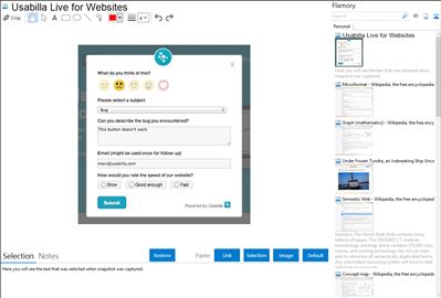 Usabilla Live for Websites - Flamory bookmarks and screenshots
