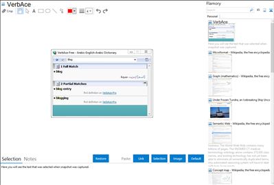 VerbAce - Flamory bookmarks and screenshots
