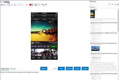 Viddy - Flamory bookmarks and screenshots