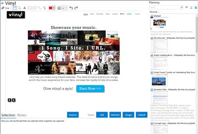 Viinyl - Flamory bookmarks and screenshots