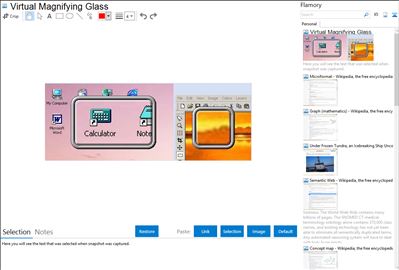 Virtual Magnifying Glass - Flamory bookmarks and screenshots