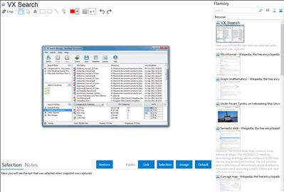 VX Search - Flamory bookmarks and screenshots