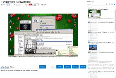 WallPaper (Crawlpaper) - Flamory bookmarks and screenshots