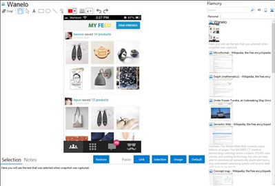 Wanelo - Flamory bookmarks and screenshots