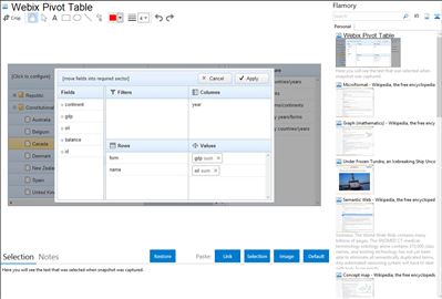 Webix Pivot Table - Flamory bookmarks and screenshots