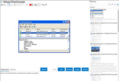 WhoisThisDomain - Flamory bookmarks and screenshots