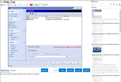 Wide Cap - Flamory bookmarks and screenshots