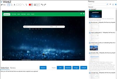 WiinkZ - Flamory bookmarks and screenshots