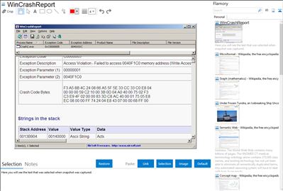 WinCrashReport - Flamory bookmarks and screenshots
