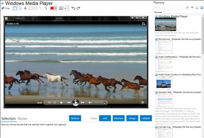 Windows Media Player - Flamory bookmarks and screenshots
