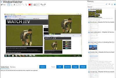WindowWatcher - Flamory bookmarks and screenshots
