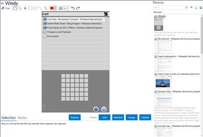 Windy - Flamory bookmarks and screenshots