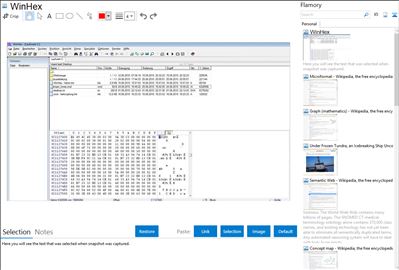 WinHex - Flamory bookmarks and screenshots