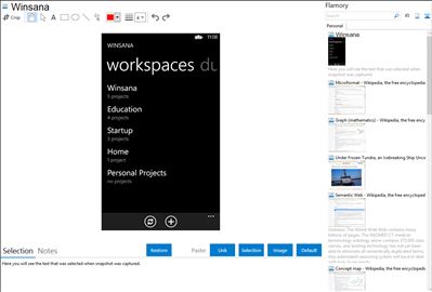 Winsana - Flamory bookmarks and screenshots