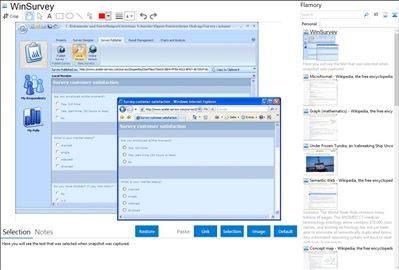 WinSurvey - Flamory bookmarks and screenshots
